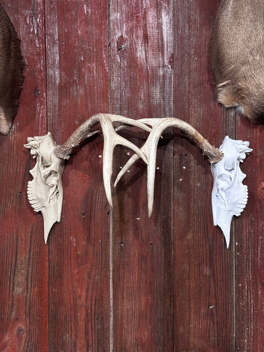 3D Printed (Half) Euro Deer Skull for Shed Mounts